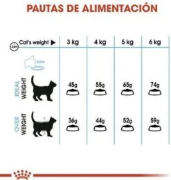 Royal Canin Urinary Care - Kattenvoer - 10 Kg -Huisdierbenodigdheden Korting 1146x1200 13