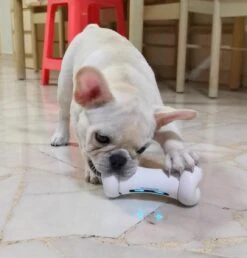 Cheerble Wickedbone|Automatisch Hondenspeeltje|Interactief En Intelligent Speelgoed Voor Honden|App & Bluetooth Bestuurbaar|USB Oplaadbaar -Huisdierbenodigdheden Korting 1147x1200 7