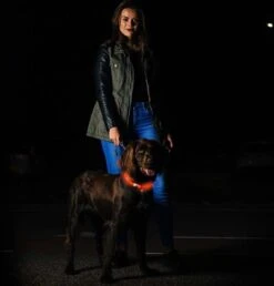 Led Dog Band USB | BEE SAFE -BLUE- | Dier Verlichting | Hondenband LED 15 Led Dog Band USB | BEE SAFE -BLUE- | Dier Verlichting | Hondenband LED -Huisdierbenodigdheden Korting 1147x1200 8