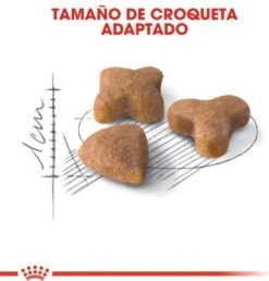 Royal Canin Sensible 33 - Kattenvoer - 10+2 Kg Bonusbag -Huisdierbenodigdheden Korting 1149x1200 6