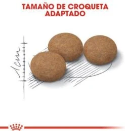 Royal Canin Ageing Sterilised 12+ - Kattenvoer - 2 Kg -Huisdierbenodigdheden Korting 1149x1200 7