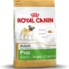 Royal Canin Mopshond/Pug Adult - Hondenvoer - 3 Kg