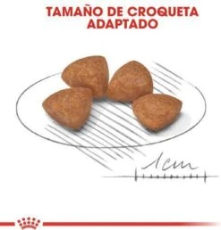 Royal Canin X-Small Puppy - Hondenvoer - 1.5 Kg -Huisdierbenodigdheden Korting 1151x1200 7