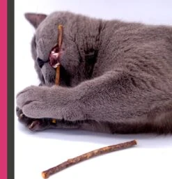 Make Me Purr Matatabi Sticks (10 Stuks) - Silver Vine Kattenkruid Stokjes - Catnip Effect Kauwstokjes - Kattensnack Kattensnoepjes - Kattenspeelgoed Kattenspeeltjes -Huisdierbenodigdheden Korting 1152x1200 16