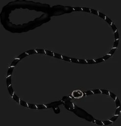 Nixnix - Honden Riem - 1,7cm - Zwart - 1,2cm Dik - Sliplijn - Nylon - Hondenriem - Verstelbaar - Jachtlijn Met Stop - Leiband -Huisdierbenodigdheden Korting 1154x1200