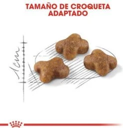 Royal Canin Kitten - Kittenvoer - 4 Kg -Huisdierbenodigdheden Korting 1154x1200 6