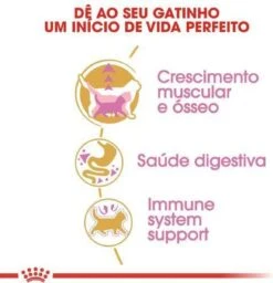 Royal Canin British Shorthair Kitten - 2 Kg -Huisdierbenodigdheden Korting 1156x1200 6