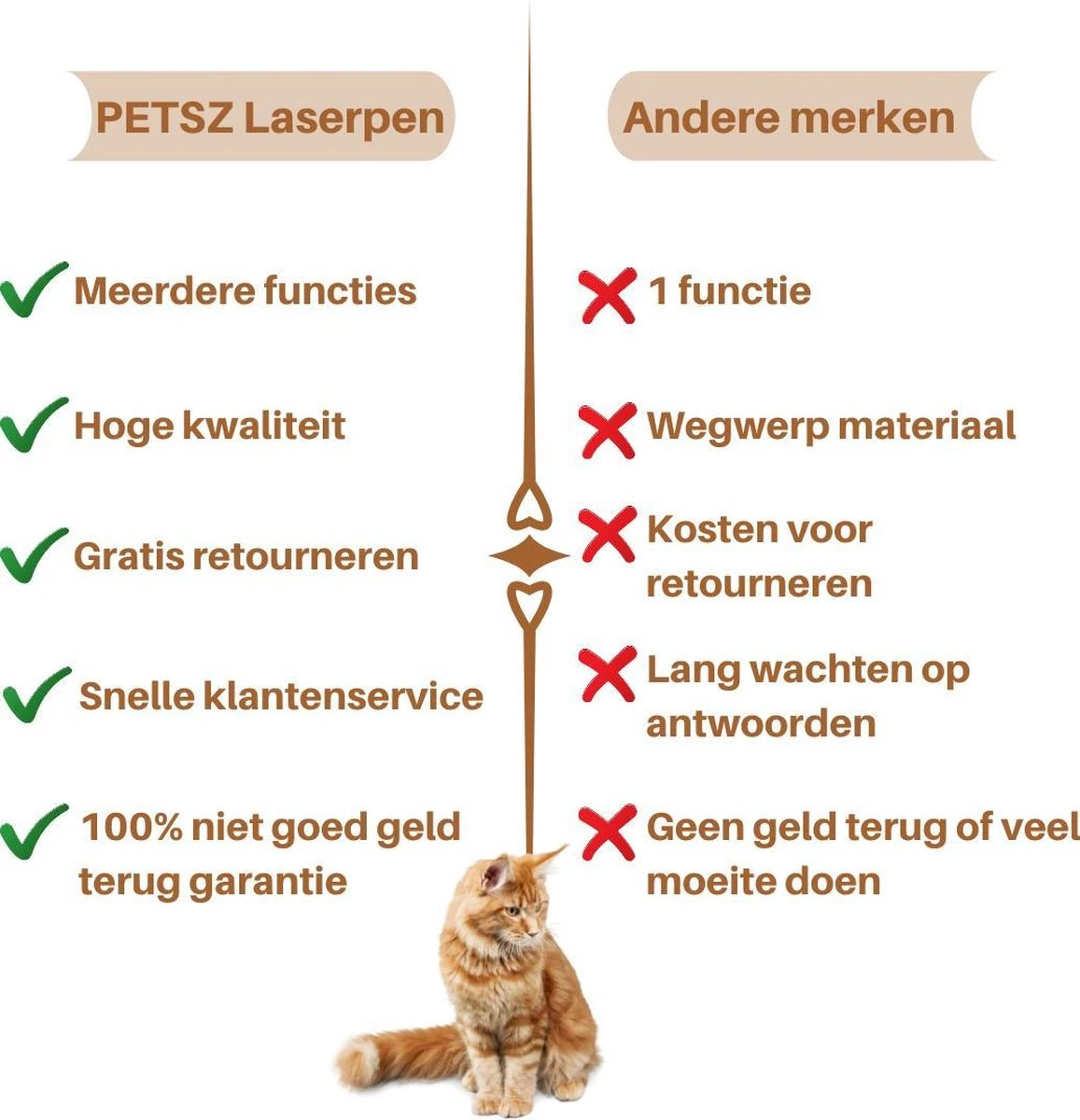 Laserpen - Kattenspeeltjes - Zaklamp - Kat - Laser - Kattenspeelgoed - RVS Opbergblikje 6 Laserpen - Kattenspeeltjes - Zaklamp - Kat - Laser - Kattenspeelgoed - RVS Opbergblikje - Image 4