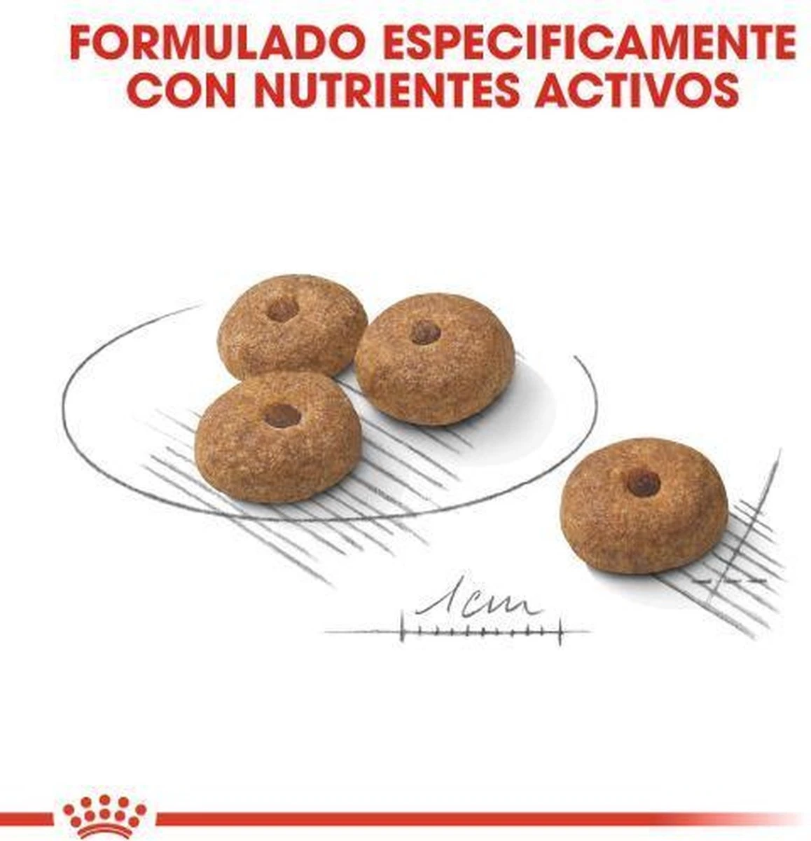 Royal Canin Ccn Sterilised Mini - Hondenvoer - 3 Kg 9 Royal Canin Ccn Sterilised Mini - Hondenvoer - 3 Kg - Image 7