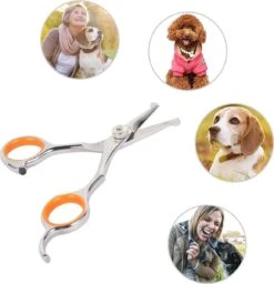 Merkloos Premium Gebogen Trimschaar Honden - Huisdier Trimmen - Hoofd, Poten Ogen & Oren - Kat & Hond Knippen - Veilige Schaar 16 Merkloos Premium Gebogen Trimschaar Honden - Huisdier Trimmen - Hoofd, Poten Ogen & Oren - Kat & Hond Knippen - Veilige Schaar -Huisdierbenodigdheden Korting 1159x1200 1