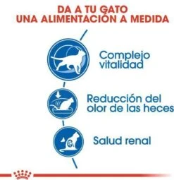 Royal Canin Indoor 7+ - Kattenvoer - 3,5 Kg 22 Royal Canin Indoor 7+ - Kattenvoer - 3,5 Kg -Huisdierbenodigdheden Korting 1161x1200 10