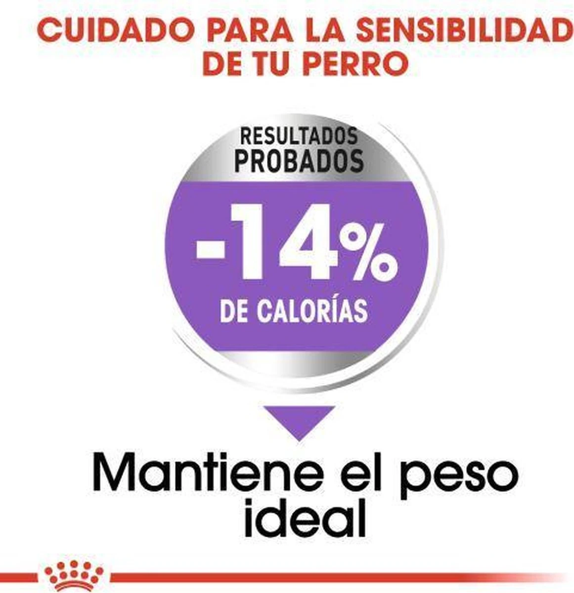 Royal Canin Ccn Sterilised Mini - Hondenvoer - 3 Kg 7 Royal Canin Ccn Sterilised Mini - Hondenvoer - 3 Kg - Image 5