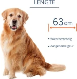 Merkloos Vlooienband Hond - 8 Maanden Bescherming - Vlooienband - Natuurlijk - Tekenband - Anti Vlooien - 63cm - Fit All Sizes - Vlooienbandjes Hond - Vlooien - Teken -Huisdierbenodigdheden Korting 1162x1200 7