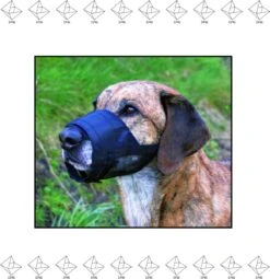 Merkloos EPIN | Muilkorf | Muilband | Goed Ventilerend Gaas | In 3 Maten | S | 12cm - 15cm -Huisdierbenodigdheden Korting 1164x1200 1