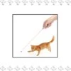 Merkloos EPIN | Kat Laserlampje | Kattenspeelgoed | Laserlamp |Met Mini Zaklamp 2 In 1 | Batterijen Inbegrepen | ZWART -Huisdierbenodigdheden Korting 1164x1200 13