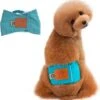 Merkloos Hondenluier Voor Kleine Hond - Luier Voor Reu - Buikband Maat S 27 Cm X 25 Cm 1 Merkloos Hondenluier Voor Kleine Hond - Luier Voor Reu - Buikband Maat S 27 Cm X 25 Cm -Huisdierbenodigdheden Korting 1164x1200 2