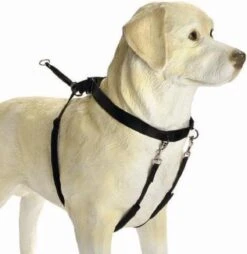 Beeztees Gentle Walker - Hondentuig - Zwart - L -Huisdierbenodigdheden Korting 1166x1200 8