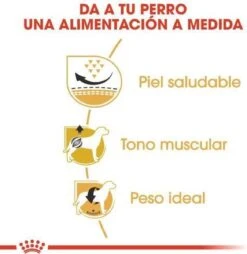 Royal Canin Mopshond/Pug Adult - Hondenvoer - 3 Kg -Huisdierbenodigdheden Korting 1168x1200 10