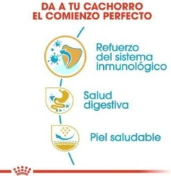 Royal Canin French Bulldog Junior 3 KG -Huisdierbenodigdheden Korting 1168x1200 11