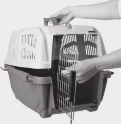 Skudo MPS Benche IATA - Transportbox - Taupe/Sand - 60x40x39 Cm 26 Skudo MPS Benche IATA - Transportbox - Taupe/Sand - 60x40x39 Cm -Huisdierbenodigdheden Korting 1169x1200 12