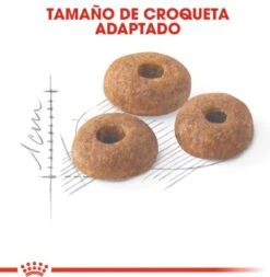 Royal Canin Fit 32 4 Kg 23 Royal Canin Fit 32 4 Kg -Huisdierbenodigdheden Korting 1173x1200 13