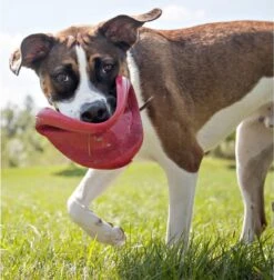 Kong Flyer Frisbee - Hondenspeelgoed - Rood - Ø25 Cm -Huisdierbenodigdheden Korting 1174x1200 16