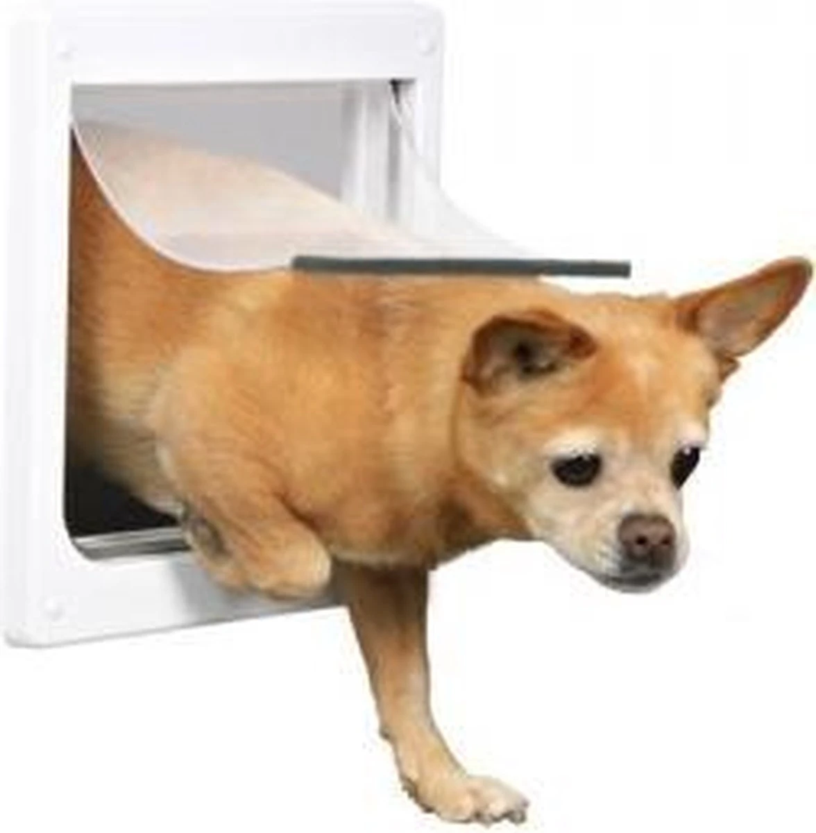 Trixie 2-Weg Hondenluik Wit - XS-S 25 X 29 CM 6 Trixie 2-Weg Hondenluik Wit - XS-S 25 X 29 CM - Image 4