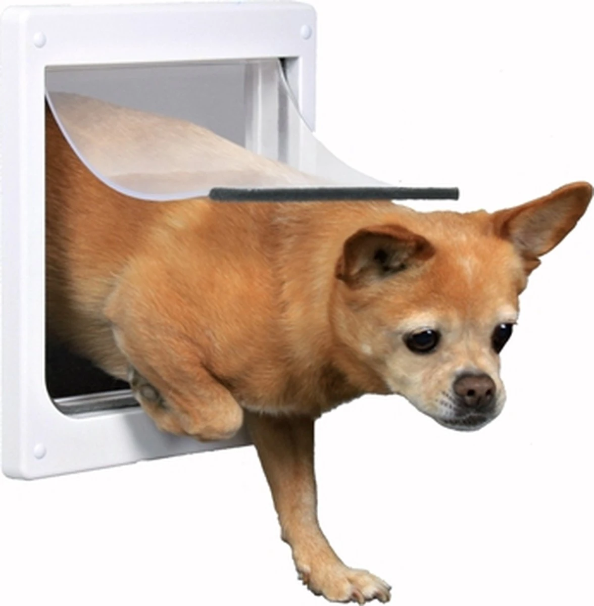 Trixie 2-Weg Hondenluik Wit - XS-S 25 X 29 CM 8 Trixie 2-Weg Hondenluik Wit - XS-S 25 X 29 CM - Image 6