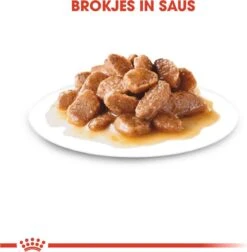 Royal Canin Shn Mini Ageing 12plus Pouch - Hondenvoer - 12x85 G -Huisdierbenodigdheden Korting 1177x1200 5