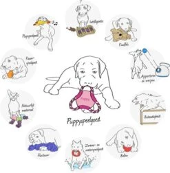 Trixie Dogtoy Dog Activity Strategy Game Gamble Box - Piepend Speelgoed - 15cm X 15cm X 9cm - Zwart/rood/oranje 21 Trixie Dogtoy Dog Activity Strategy Game Gamble Box - Piepend Speelgoed - 15cm X 15cm X 9cm - Zwart/rood/oranje -Huisdierbenodigdheden Korting 1178x1200 15