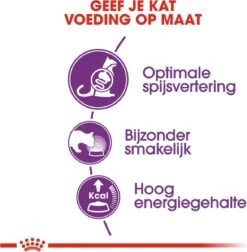 Royal Canin Sensible 33 - Kattenvoer - 10+2 Kg Bonusbag -Huisdierbenodigdheden Korting 1178x1200 33