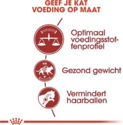 Royal Canin Fit 32 4 Kg 19 Royal Canin Fit 32 4 Kg -Huisdierbenodigdheden Korting 1179x1200 14