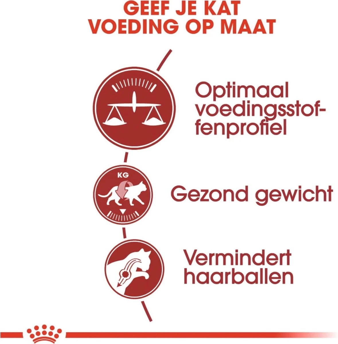 Royal Canin Fit 32 4 Kg 5 Royal Canin Fit 32 4 Kg - Image 3