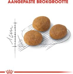 ROYAL CANIN® Aroma Exigent - Kattenvoer - 400 Gram -Huisdierbenodigdheden Korting 1180x1200 14