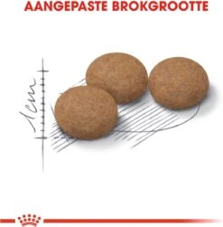 Royal Canin Ageing Sterilised 12+ - Kattenvoer - 2 Kg -Huisdierbenodigdheden Korting 1180x1200 16