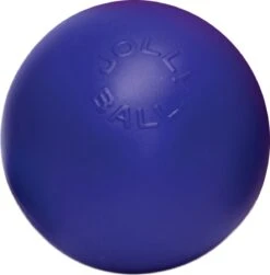 Jolly Ball Push-n Play – Mega Sterke En Duurzame Honden Speelbal – Uitermate Geschikt Voor Wilde Honden - Bijtbestendig - Polyethyleen - Blauw - Ø 15 Cm