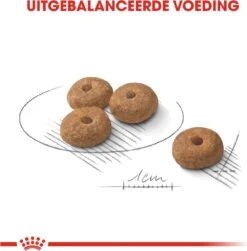 Royal Canin Ccn Sterilised Mini - Hondenvoer - 3 Kg 18 Royal Canin Ccn Sterilised Mini - Hondenvoer - 3 Kg -Huisdierbenodigdheden Korting 1183x1200 8