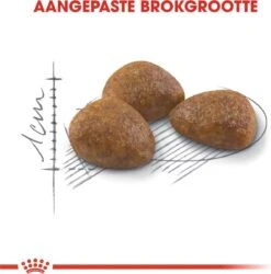 Royal Canin Outdoor 7+ - 4 Kg 20 Royal Canin Outdoor 7+ - 4 Kg -Huisdierbenodigdheden Korting 1184x1200 12