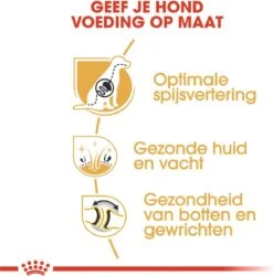 Royal Canin German Shepherd Adult 11 KG -Huisdierbenodigdheden Korting 1184x1200 5