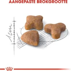 Royal Canin Sensible 33 - Kattenvoer - 10+2 Kg Bonusbag -Huisdierbenodigdheden Korting 1185x1200 14