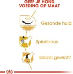 Royal Canin Mopshond/Pug Adult - Hondenvoer - 3 Kg -Huisdierbenodigdheden Korting 1185x1200 6