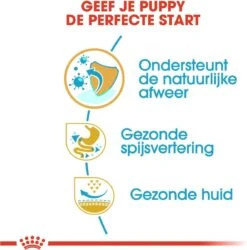 Royal Canin French Bulldog Junior 3 KG -Huisdierbenodigdheden Korting 1185x1200 7