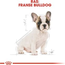 Royal Canin French Bulldog Junior 3 KG -Huisdierbenodigdheden Korting 1185x1200 8