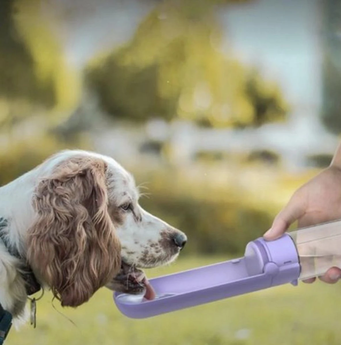 Vouwbare Honden Waterfles 420ml - Honden Fles Water - Honden Bidon - Honden Drinkfles - Paars 7 Vouwbare Honden Waterfles 420ml - Honden Fles Water - Honden Bidon - Honden Drinkfles - Paars - Image 5