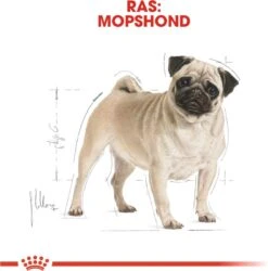 Royal Canin Mopshond/Pug Adult - Hondenvoer - 3 Kg -Huisdierbenodigdheden Korting 1186x1200 14