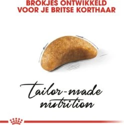 Royal Canin British Shorthair Kitten - 2 Kg -Huisdierbenodigdheden Korting 1186x1200 21