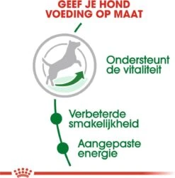 Royal Canin Mini Adult 8+ - Hondenvoer - 800 G -Huisdierbenodigdheden Korting 1186x1200