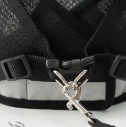 Merkloos Kittentuigje - Kattentuigje Reflecterend - Kattenharnas - Kattentuig Met Looplijn - Zwart - Maat XS 12 Merkloos Kittentuigje - Kattentuigje Reflecterend - Kattenharnas - Kattentuig Met Looplijn - Zwart - Maat XS -Huisdierbenodigdheden Korting 1188x1200 31