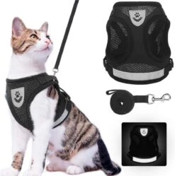 Merkloos Kittentuigje - Kattentuigje Reflecterend - Kattenharnas - Kattentuig Met Looplijn - Zwart - Maat XS 14 Merkloos Kittentuigje - Kattentuigje Reflecterend - Kattenharnas - Kattentuig Met Looplijn - Zwart - Maat XS -Huisdierbenodigdheden Korting 1189x1200 23