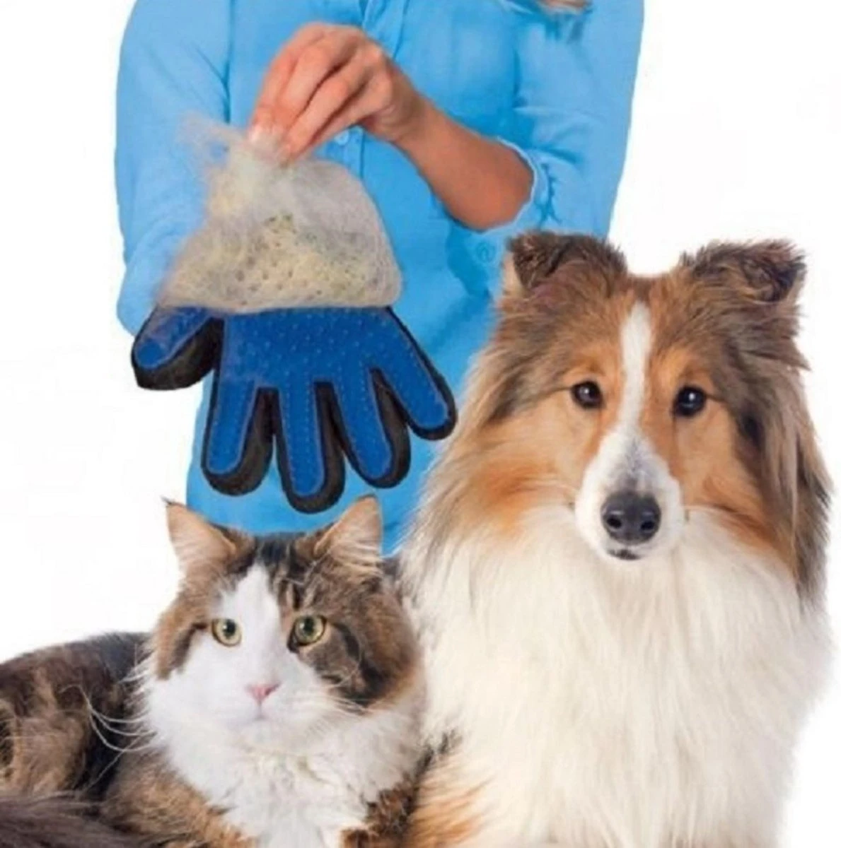 Vacht Verzorgingsborstel Voor Huisdieren - Blauw - LimitedDeals - Voor Honden Katten Konijnen Paarden - Tevens Massage Handschoen Voor Dieren! - Goed Voor De Verzorging Van De Vacht 9 Vacht Verzorgingsborstel Voor Huisdieren - Blauw - LimitedDeals - Voor Honden Katten Konijnen Paarden - Tevens Massage Handschoen Voor Dieren! - Goed Voor De Verzorging Van De Vacht - Image 7